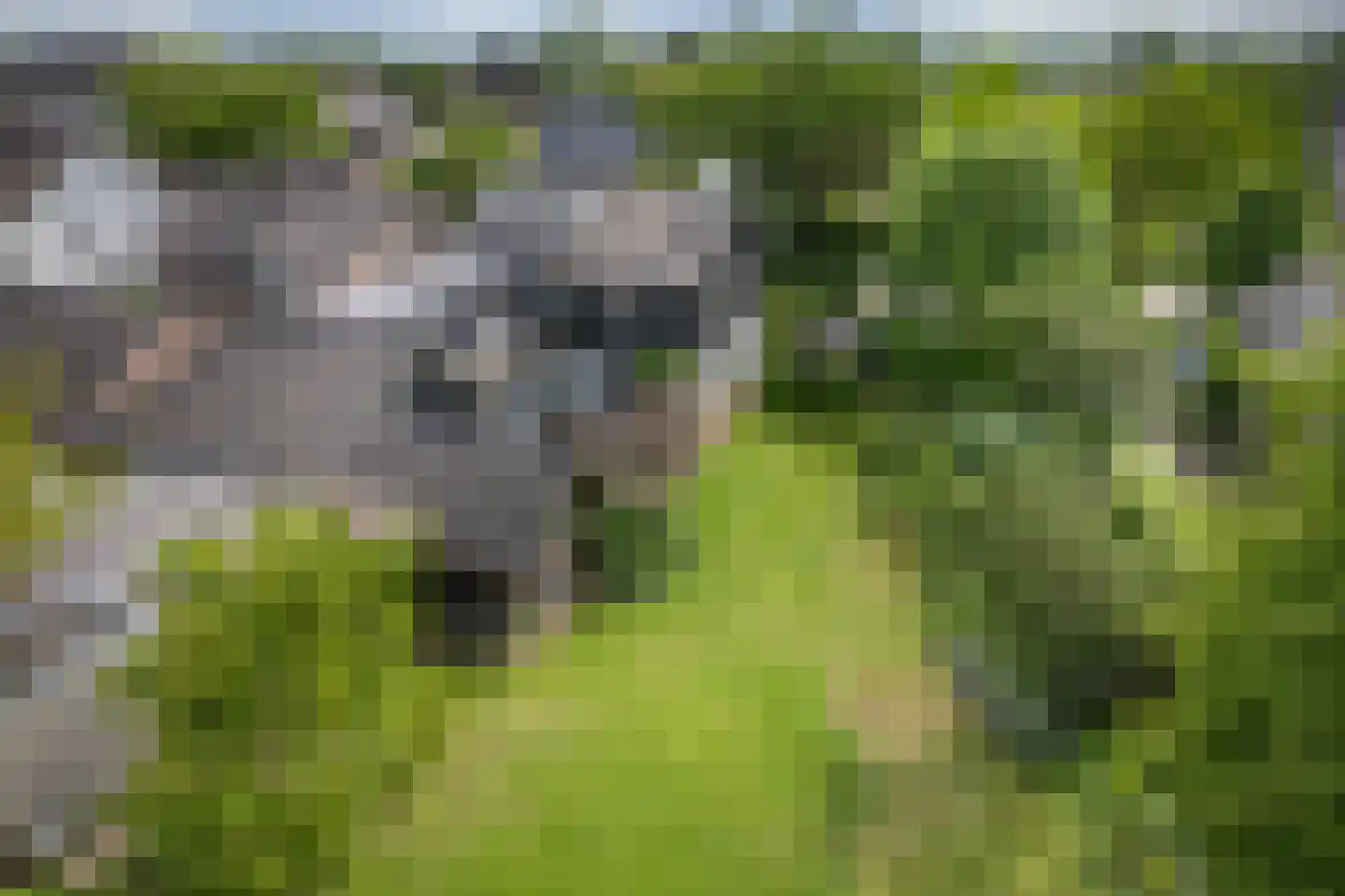 Bosscheweg 16 Den Dungen thumbnail 44