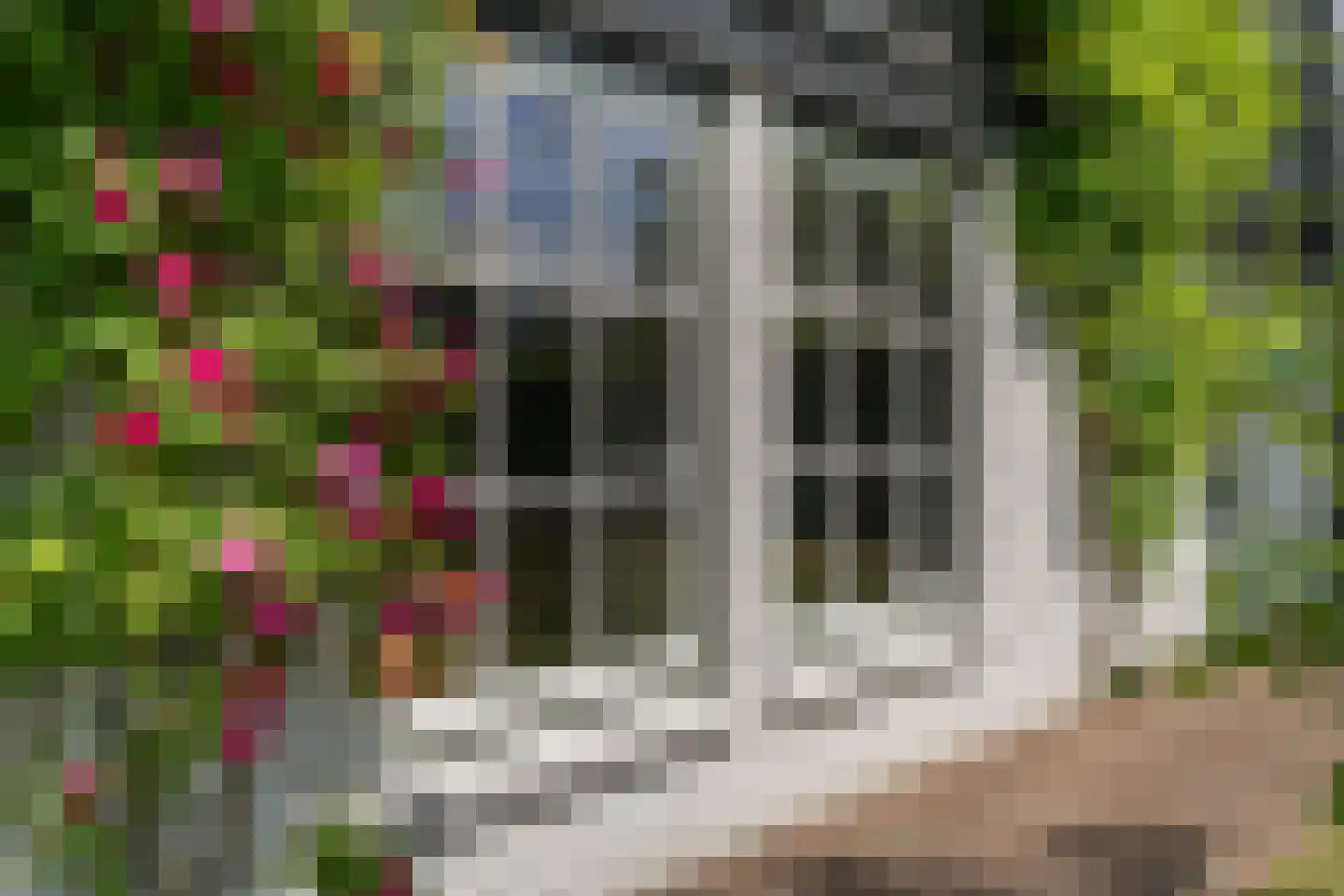 Bosscheweg 16 Den Dungen thumbnail 46