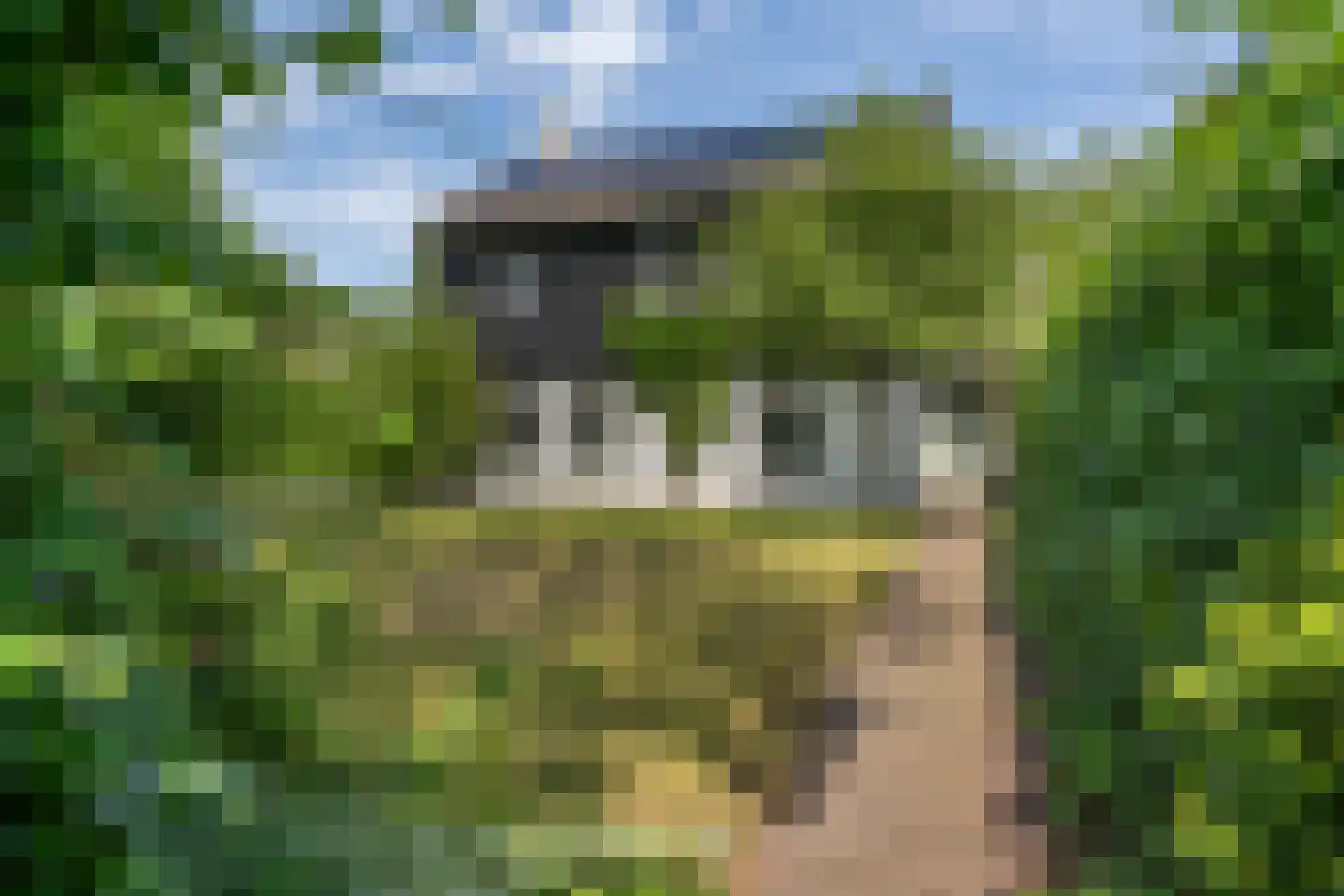 Bosscheweg 16 Den Dungen thumbnail 47
