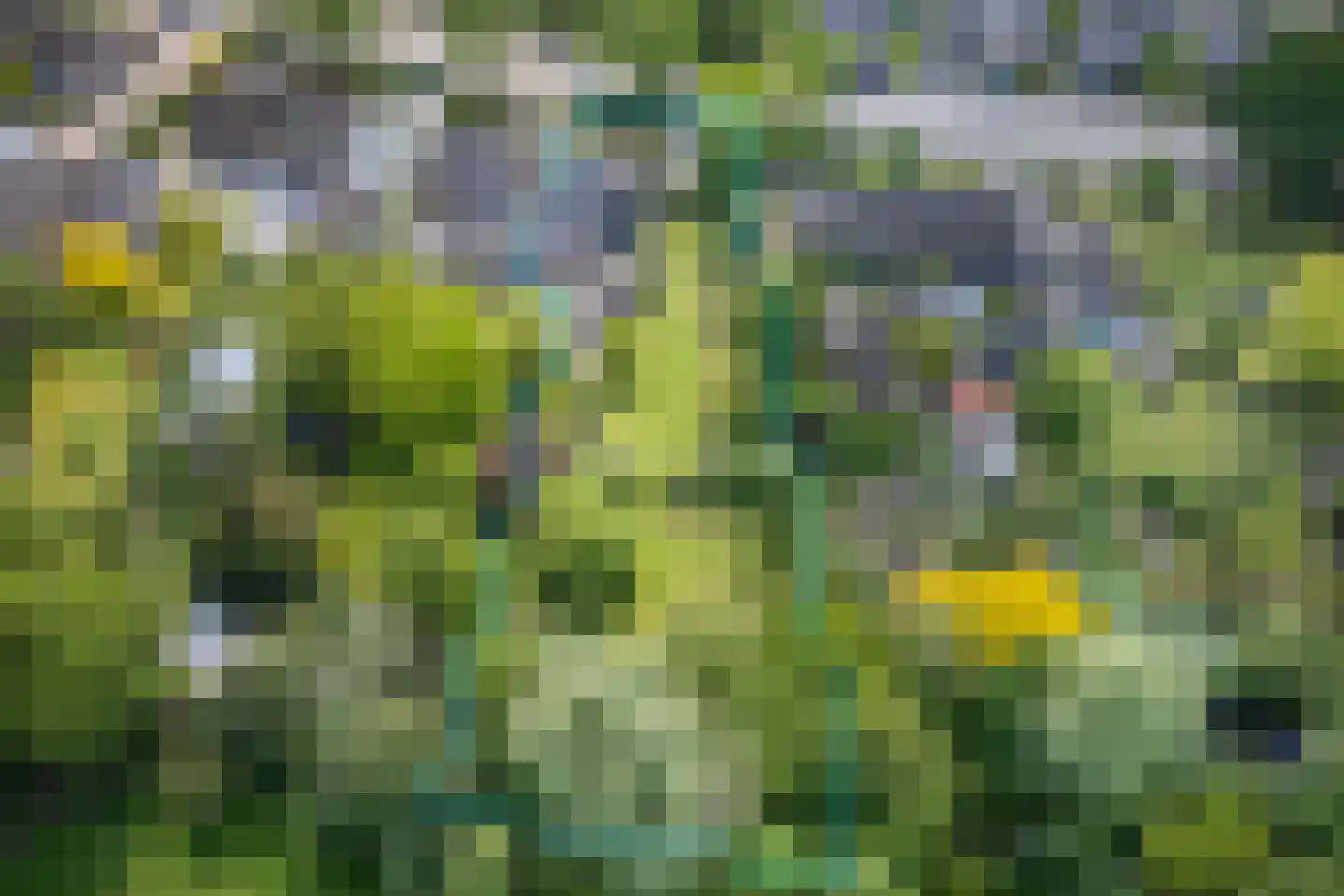 Bosscheweg 16 Den Dungen thumbnail 49