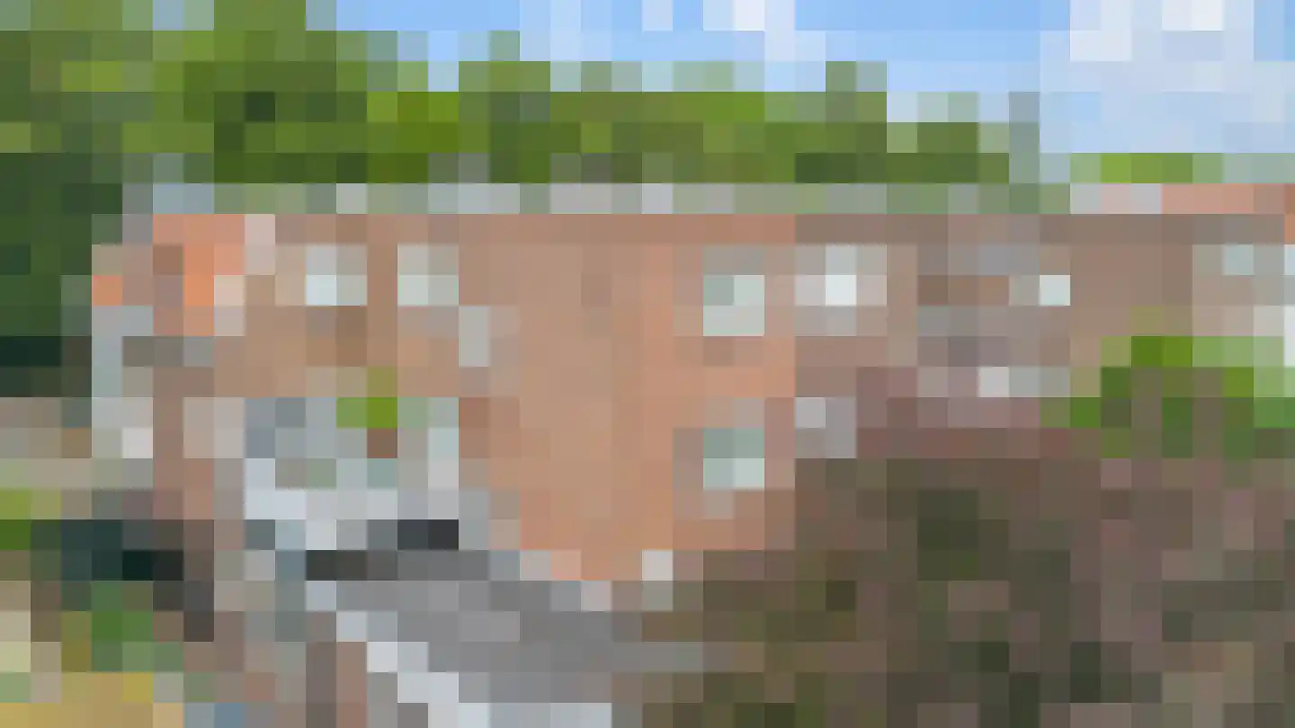 Bosscheweg 16 Vught thumbnail 19