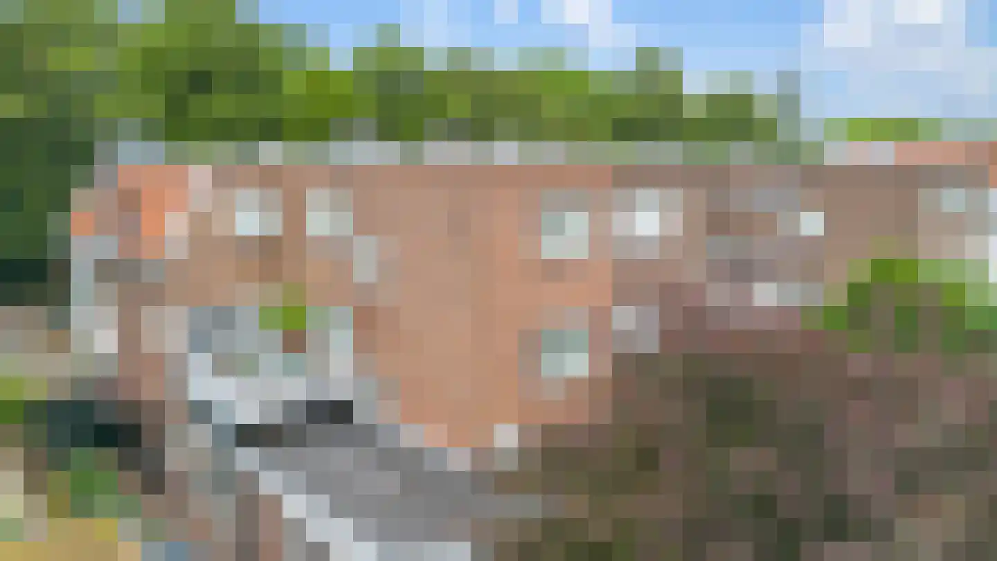 Bosscheweg 16 Vught thumbnail 19