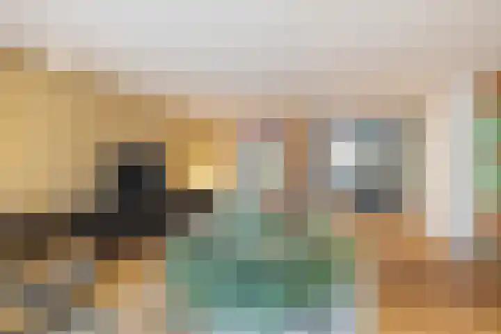 Bosscheweg 181 Tilburg thumbnail 23