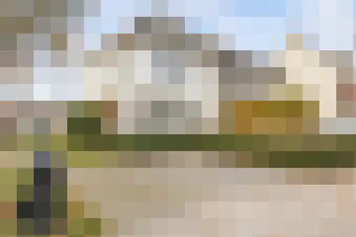 Bosscheweg 181 Tilburg thumbnail 63