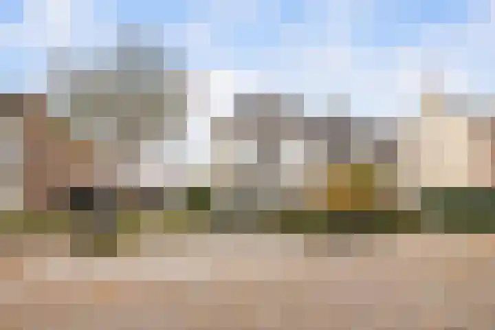 Bosscheweg 181 Tilburg thumbnail 64