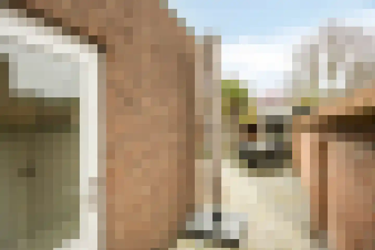 Bosscheweg 206 Tilburg thumbnail 36