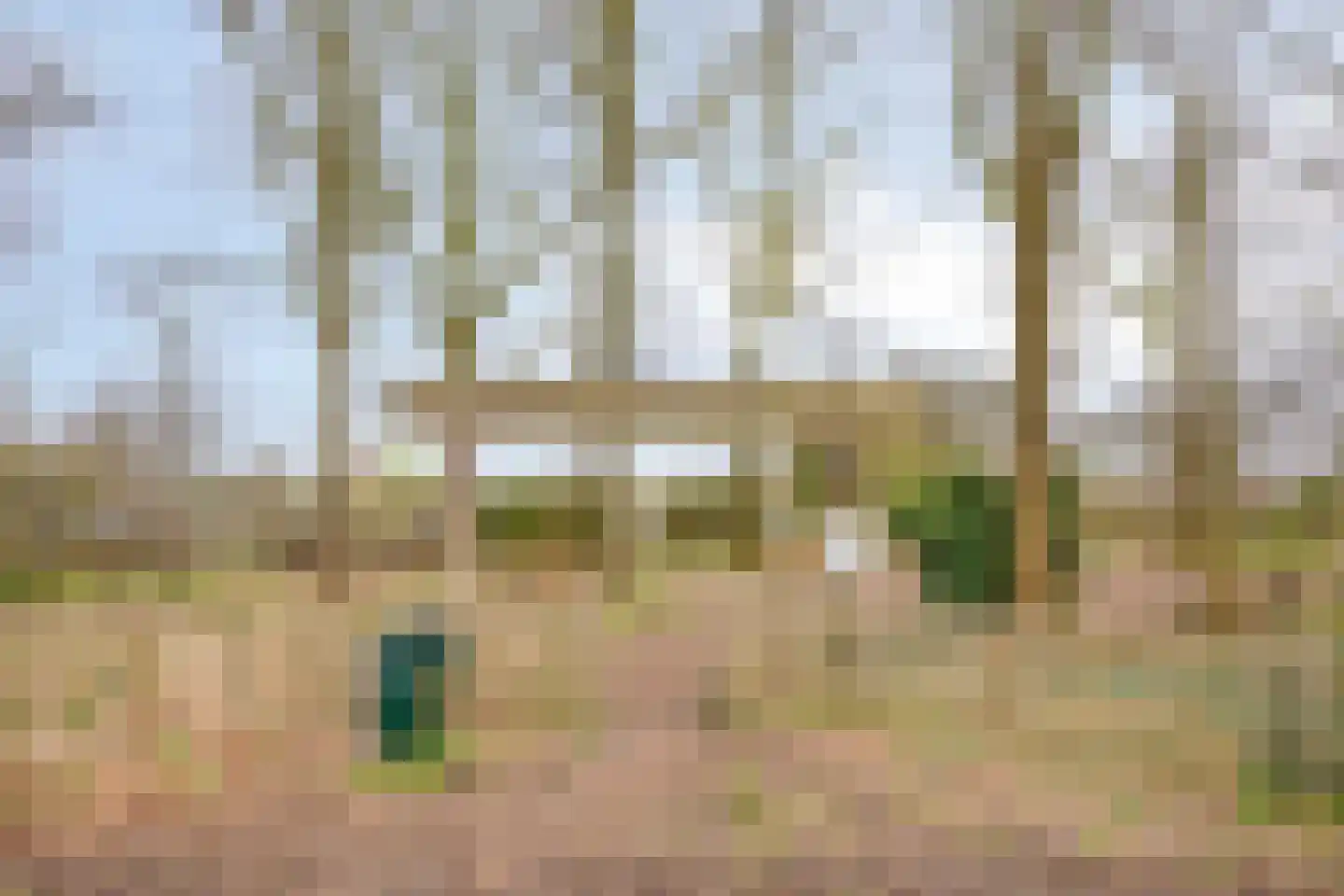 Bosscheweg 206 Tilburg thumbnail 54