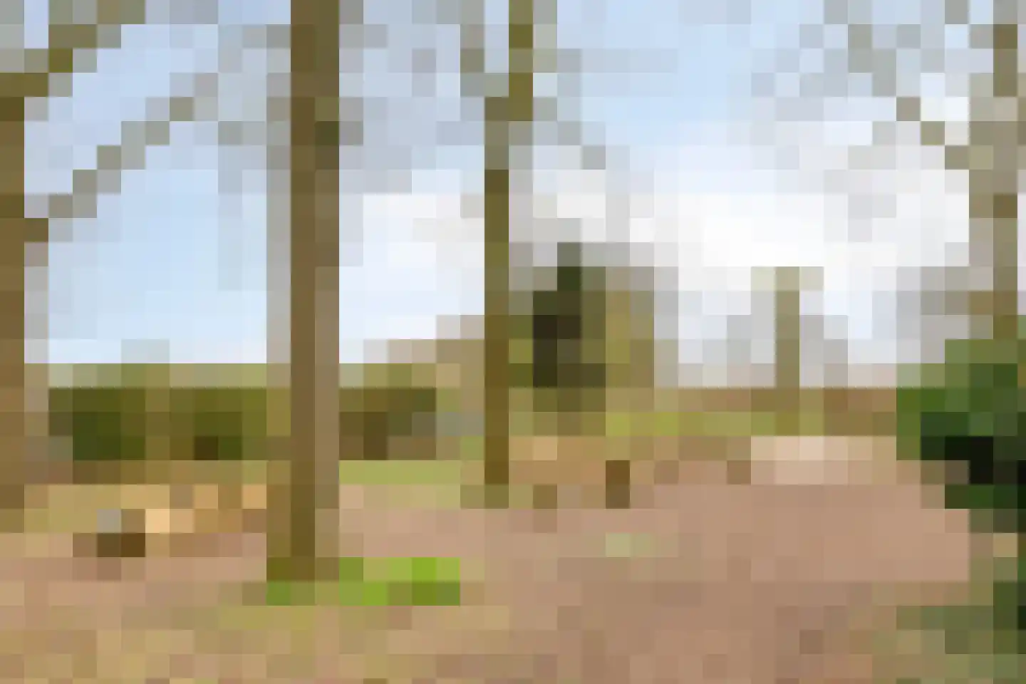 Bosscheweg 206 Tilburg thumbnail 55