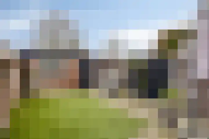 Bosscheweg 208 Tilburg thumbnail 26