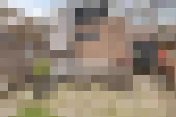 Bosscheweg 208 Tilburg thumbnail 28