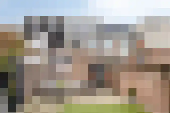 Bosscheweg 208 Tilburg thumbnail 29