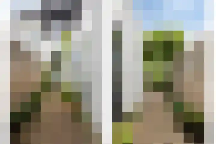 Bosscheweg 210 Tilburg thumbnail 31