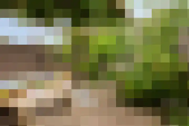 Bosscheweg 210 Tilburg thumbnail 32