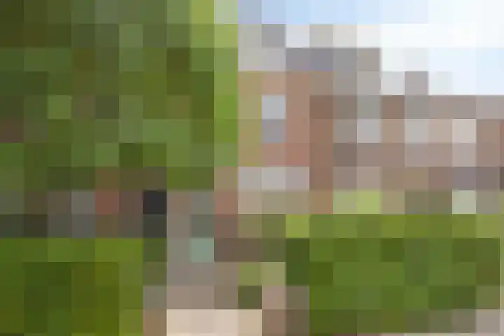 Bosscheweg 210 Tilburg thumbnail 36