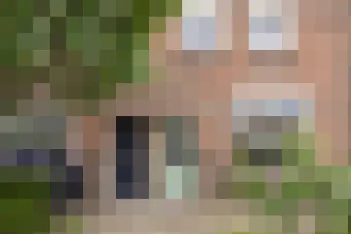Bosscheweg 210 Tilburg thumbnail 38