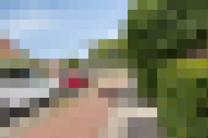 Bosscheweg 210 Tilburg thumbnail 39