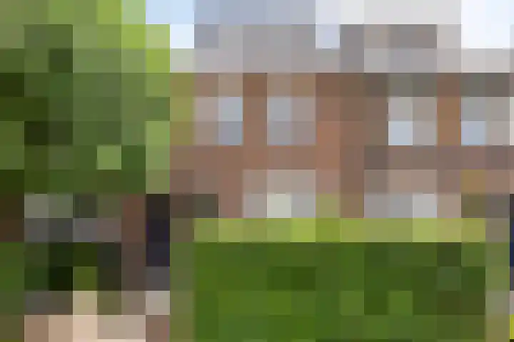 Bosscheweg 210 Tilburg thumbnail 46