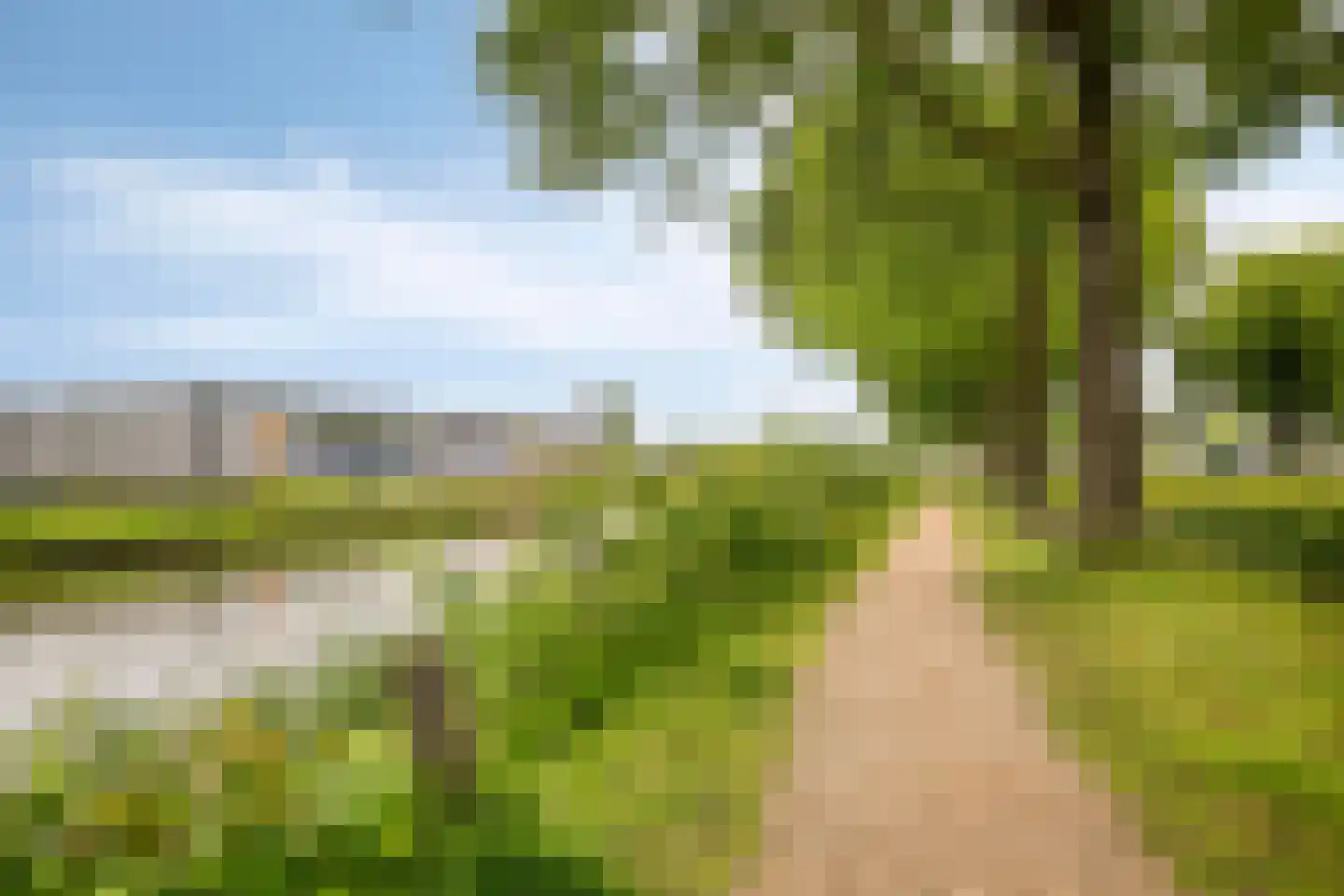 Bosscheweg 215 Tilburg thumbnail 32