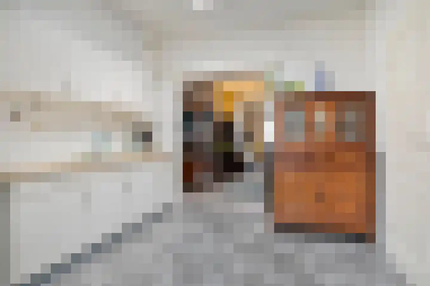 Bosscheweg 219 Tilburg thumbnail 13