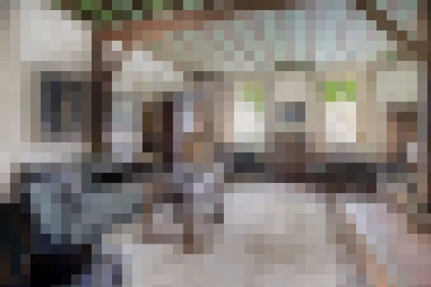 Bosscheweg 23 Aarle-Rixtel thumbnail 20