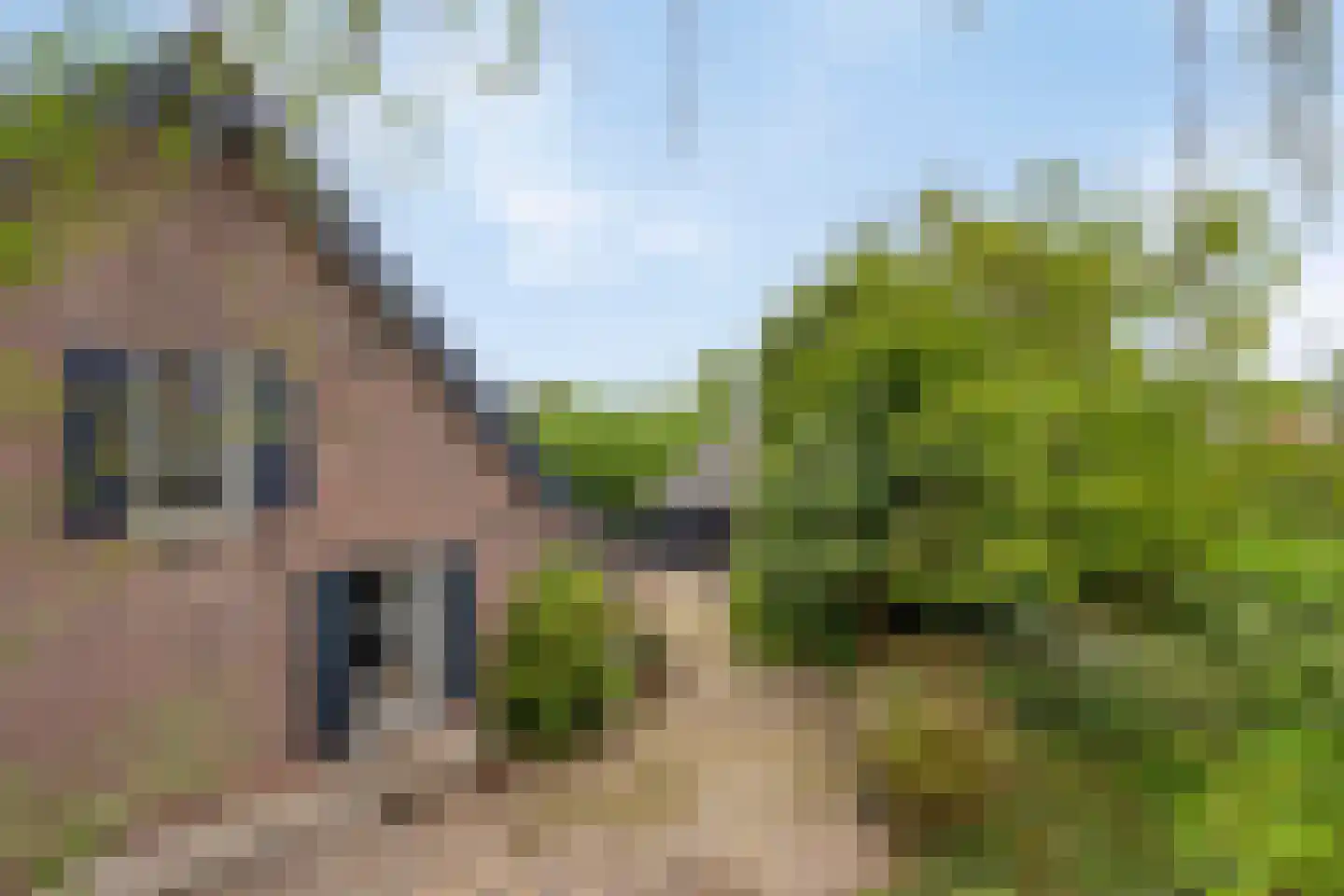 Bosscheweg 23 Aarle-Rixtel thumbnail 49