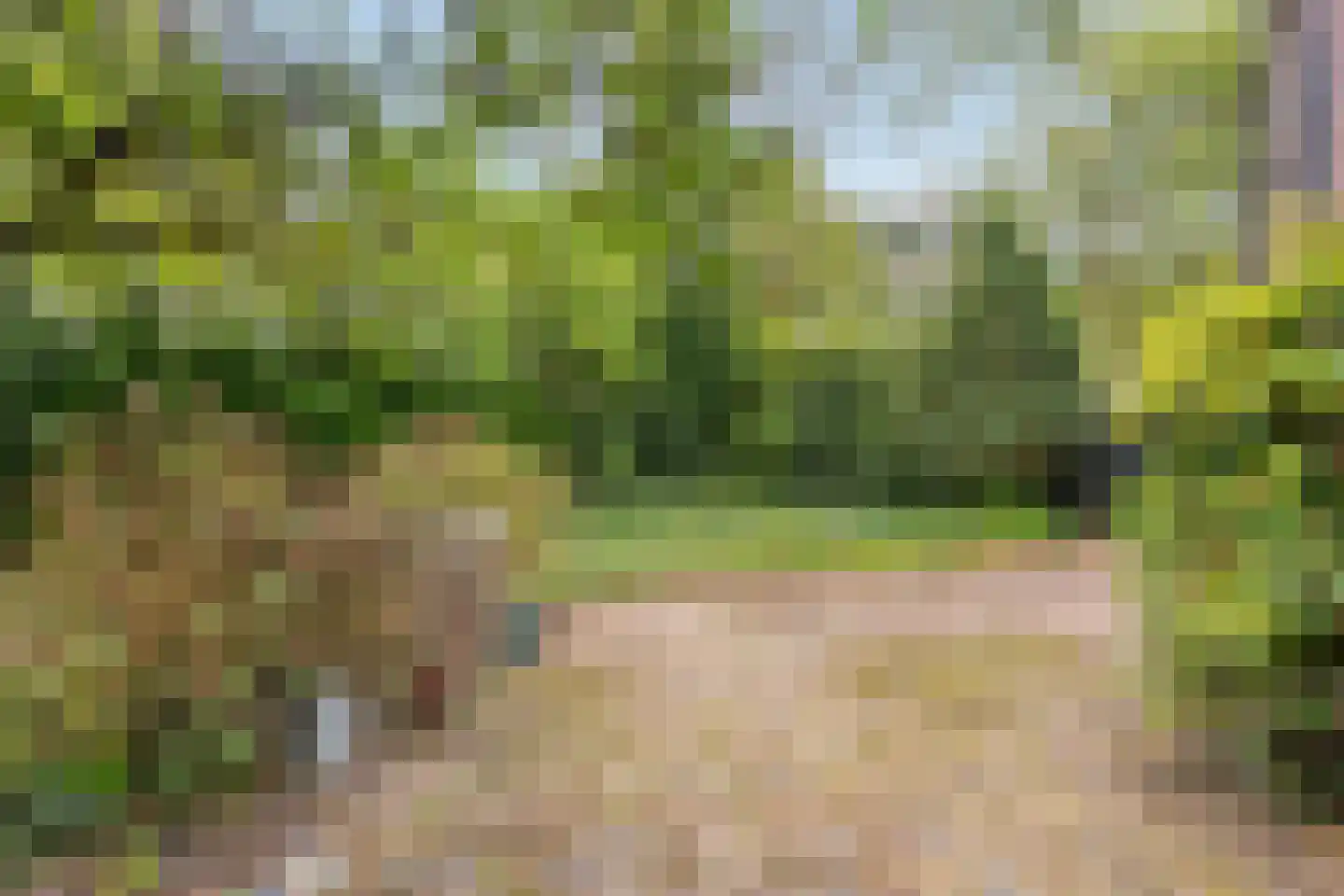 Bosscheweg 23 Aarle-Rixtel thumbnail 53
