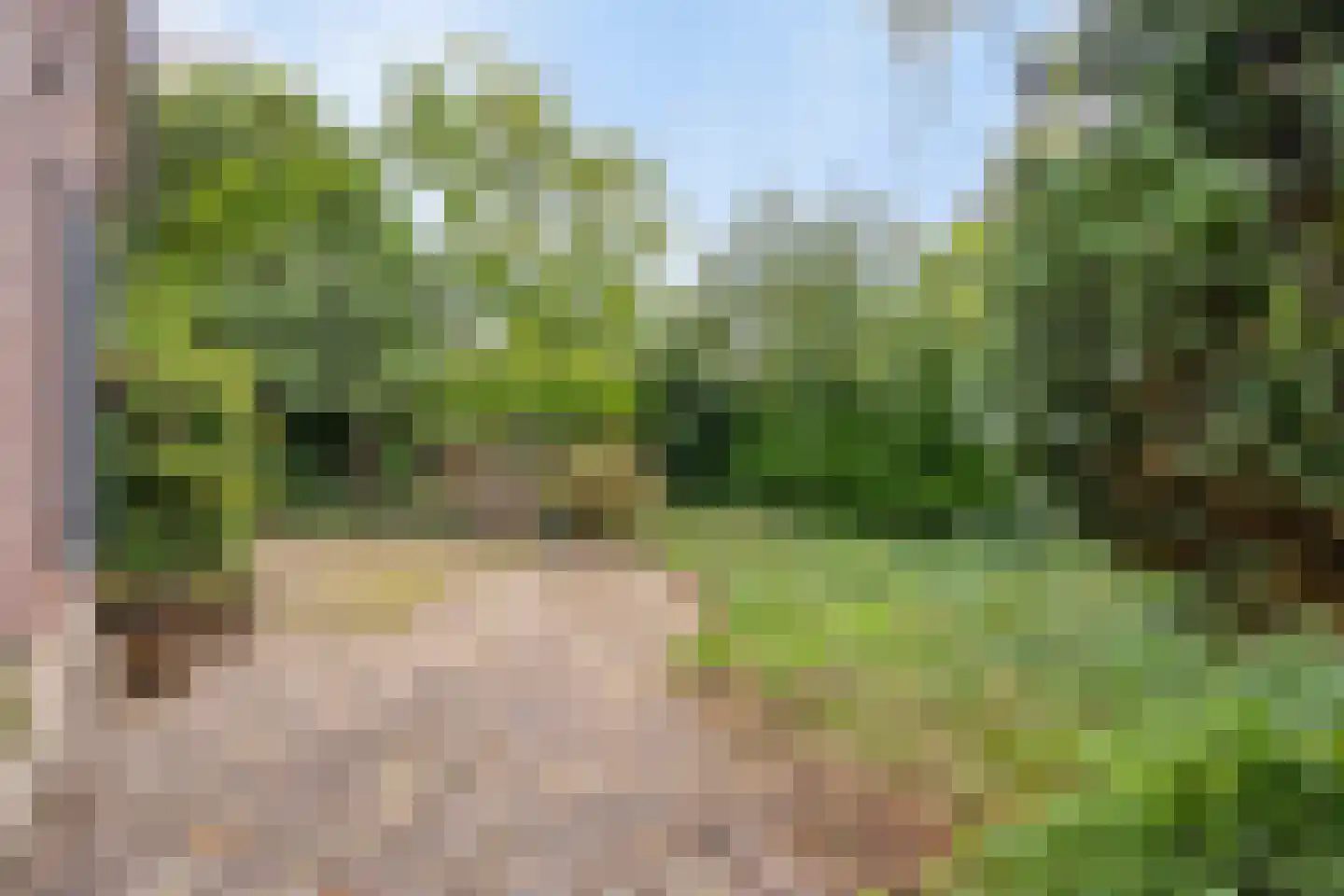 Bosscheweg 23 Aarle-Rixtel thumbnail 54