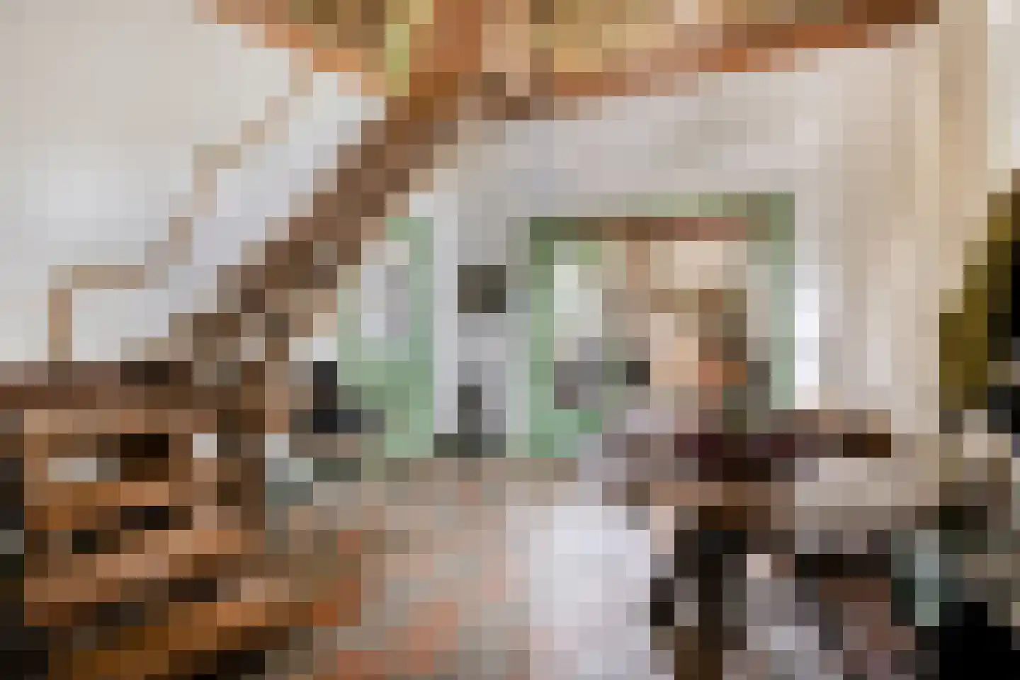 Bosscheweg 23 Aarle-Rixtel thumbnail 8