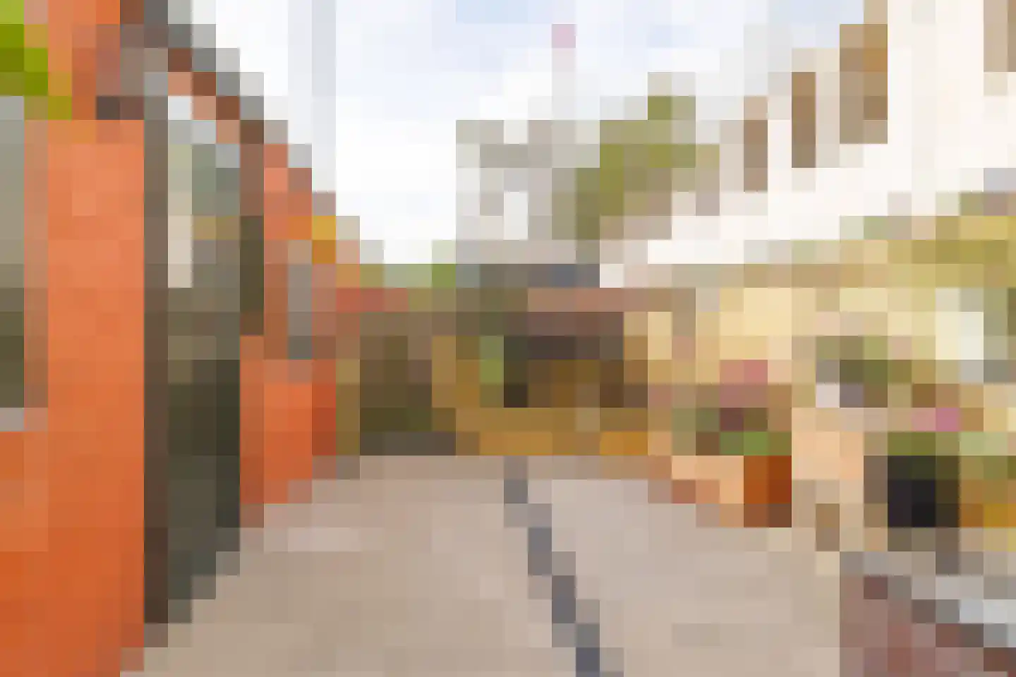 Bosscheweg 234 Tilburg thumbnail 31