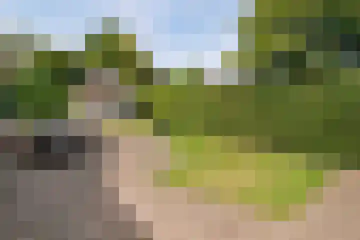 Bosscheweg 25 Aarle-Rixtel thumbnail 5