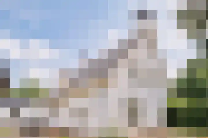 Bosscheweg 25 Aarle-Rixtel thumbnail 8