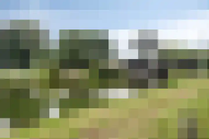 Bosscheweg 250 09 Tilburg thumbnail 27