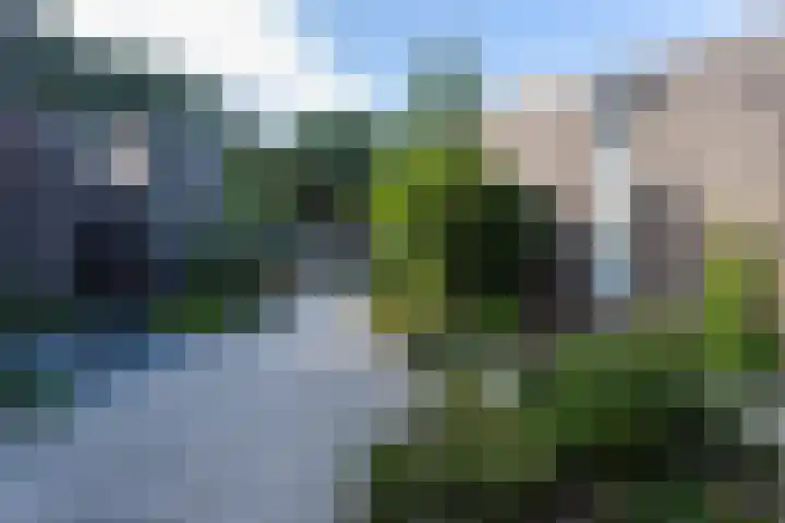 Bosscheweg 250 09 Tilburg thumbnail 7