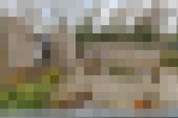 Bosscheweg 250 20 Tilburg thumbnail 18