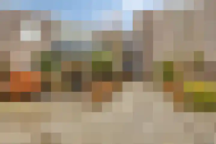 Bosscheweg 250 20 Tilburg thumbnail 21