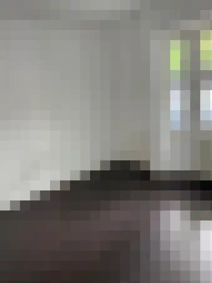 Bosscheweg 257 Tilburg thumbnail 8