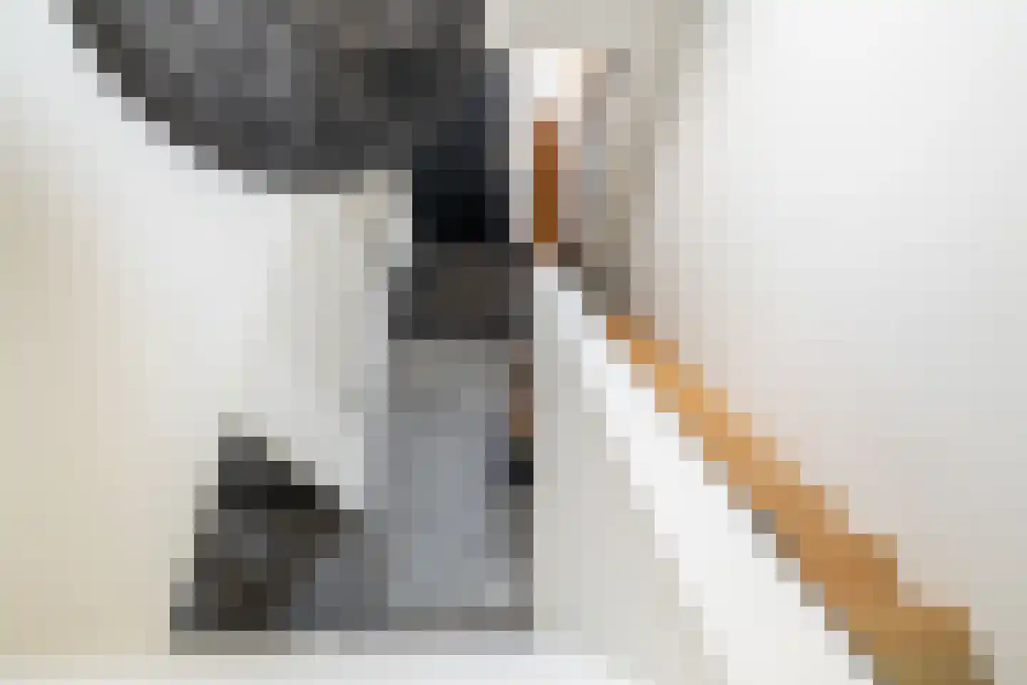 Bosscheweg 3 Biest-Houtakker thumbnail 19