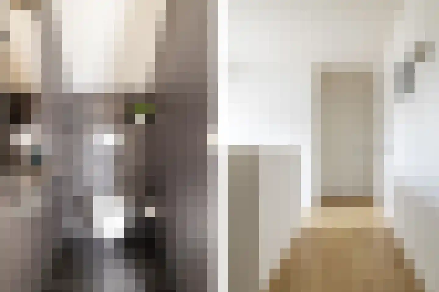 Bosscheweg 3 Biest-Houtakker thumbnail 21