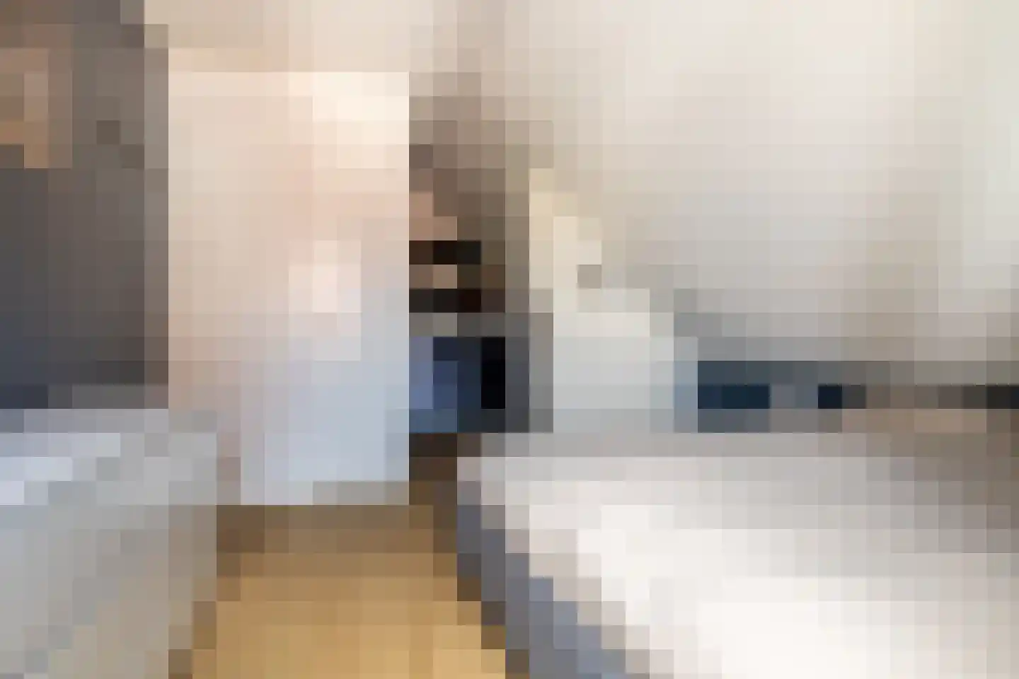 Bosscheweg 3 Biest-Houtakker thumbnail 23