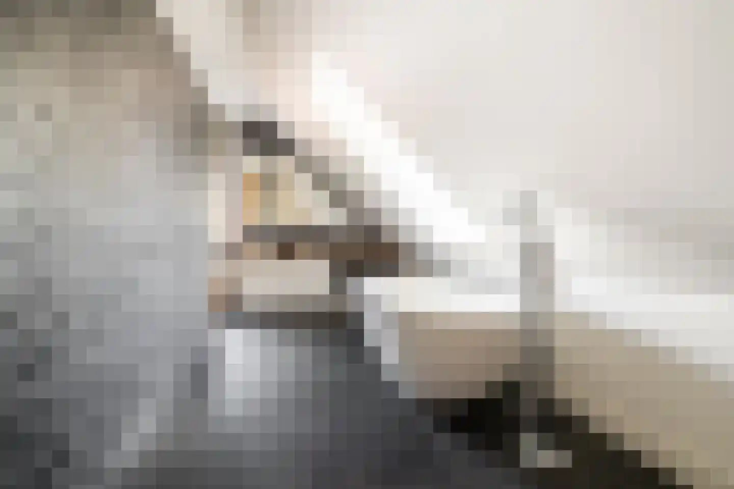 Bosscheweg 3 Biest-Houtakker thumbnail 24
