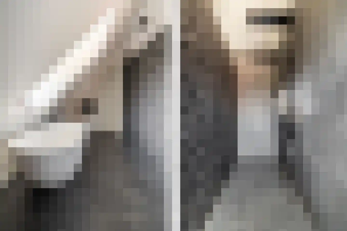 Bosscheweg 3 Biest-Houtakker thumbnail 25