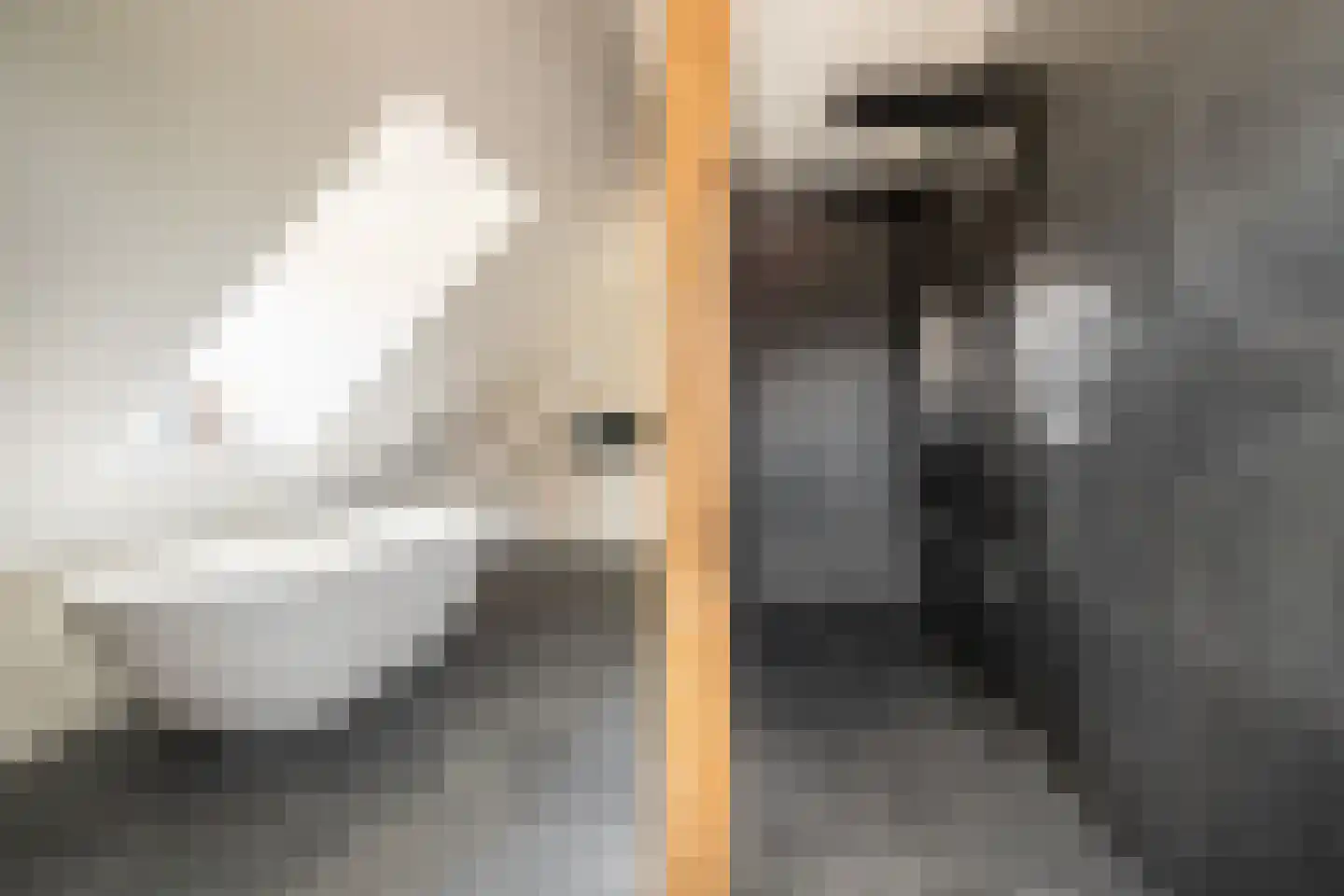 Bosscheweg 3 Biest-Houtakker thumbnail 27