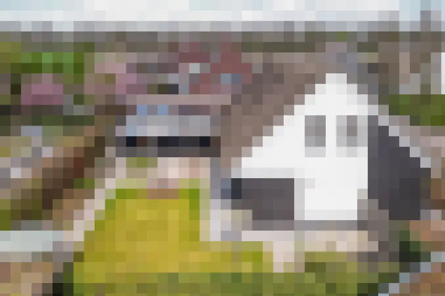 Bosscheweg 3 Biest-Houtakker thumbnail 40
