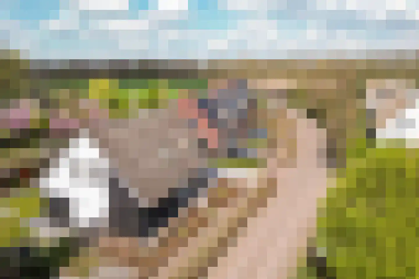 Bosscheweg 3 Biest-Houtakker thumbnail 46