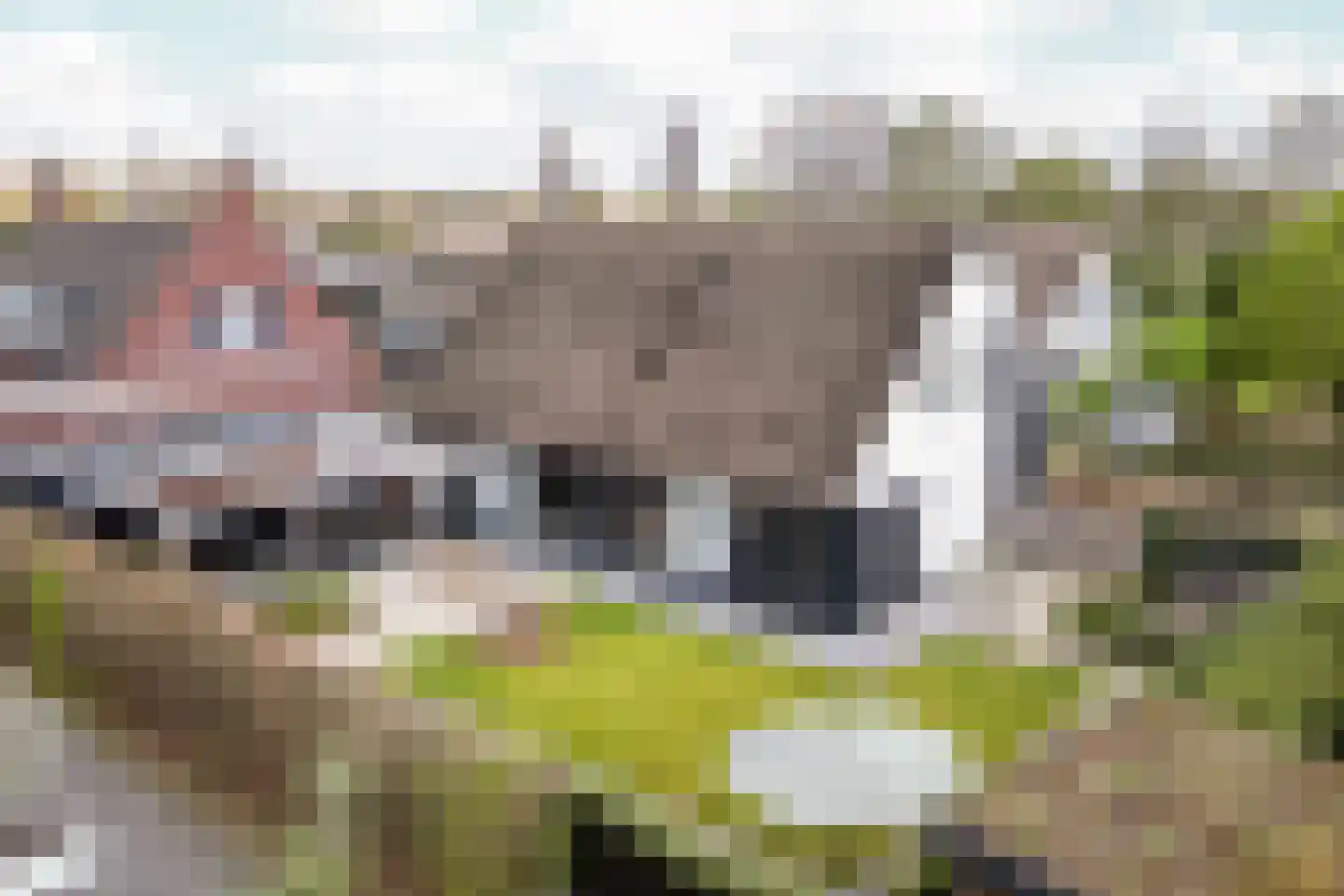 Bosscheweg 3 Biest-Houtakker thumbnail 47