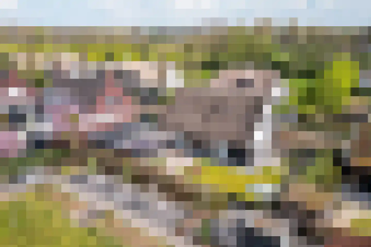 Bosscheweg 3 Biest-Houtakker thumbnail 48