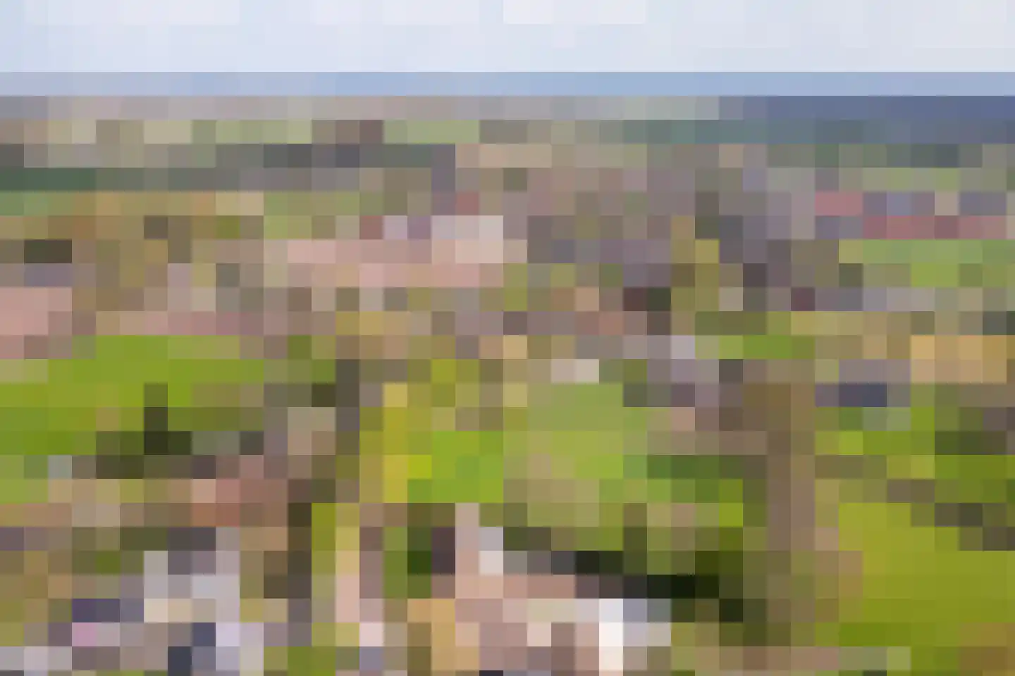Bosscheweg 3 Biest-Houtakker thumbnail 49