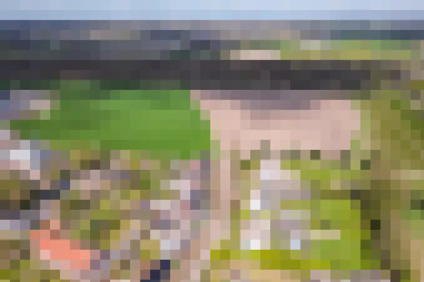 Bosscheweg 3 Biest-Houtakker thumbnail 50