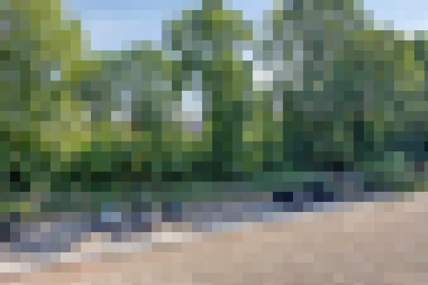 Bosscheweg 324 e Tilburg thumbnail 28