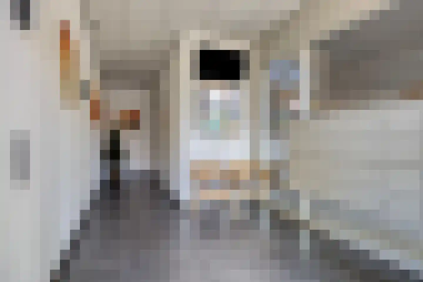 Bosscheweg 324 e Tilburg thumbnail 32